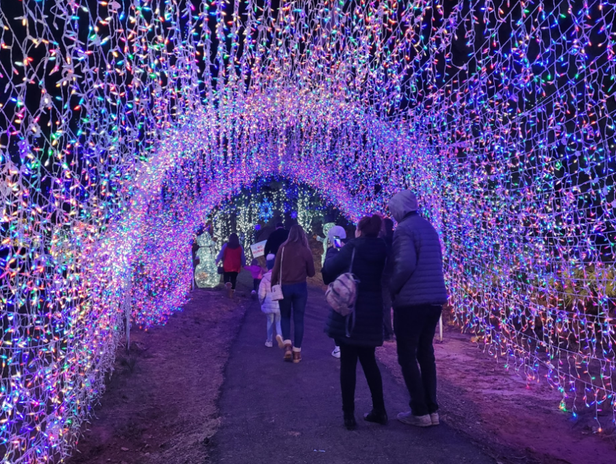 Families enjoy some of the nearly 2 million lights at Carmela's Magical Santa Land in Longview, Texas.