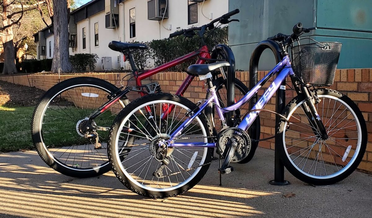 Bicycles on the University of Texas at Arlington campus on Jan. 29.