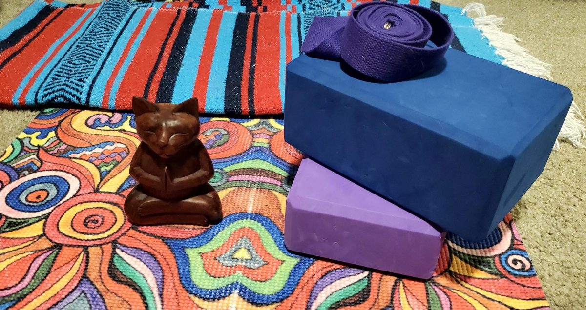 A statue of a meditating cat rests on a yoga mat surrounded by a yoga blanket, yoga blocks, and a strap. Yoga practitioners say the practice gives them increased feelings of well being.
