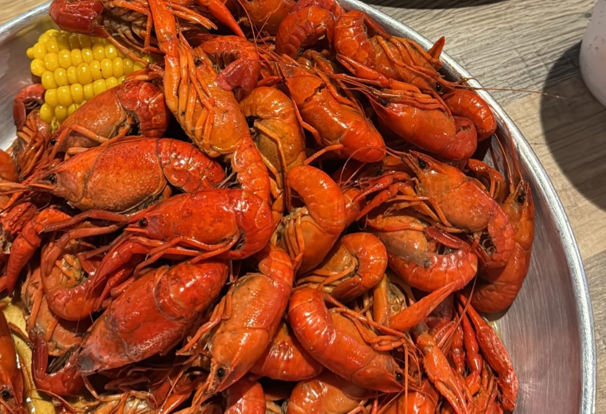 Last+summers+heat+and+drought+has+crawfish+farmers%2C+restaurant+owners+and+consumers+feeling+the+pinch+of+a+crawfish+shortage.+The+supply+shortfall+has+put+a+damper+on+crawfish+boils.