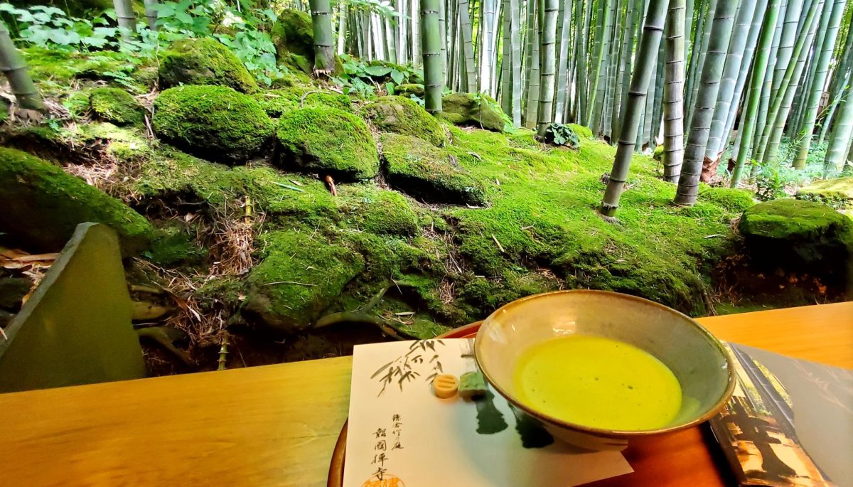 Matcha produced in Japan is creamy with almost no bitterness, a result of careful preparation. In this photo, matcha is ready to be enjoyed at the Hokokuji Temple bamboo forest in Kamakura, Japan.