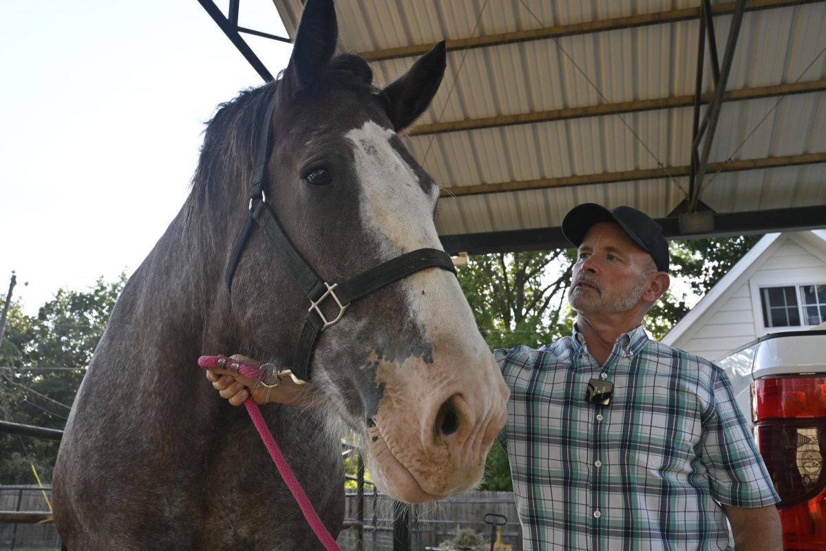 Big Girl, left, and Arlington businessman Scott Milner share a moment during a recent interview.