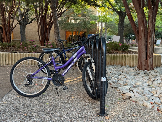 Bicycles locked at a bike rack on the University of Texas at Arlington campus. 