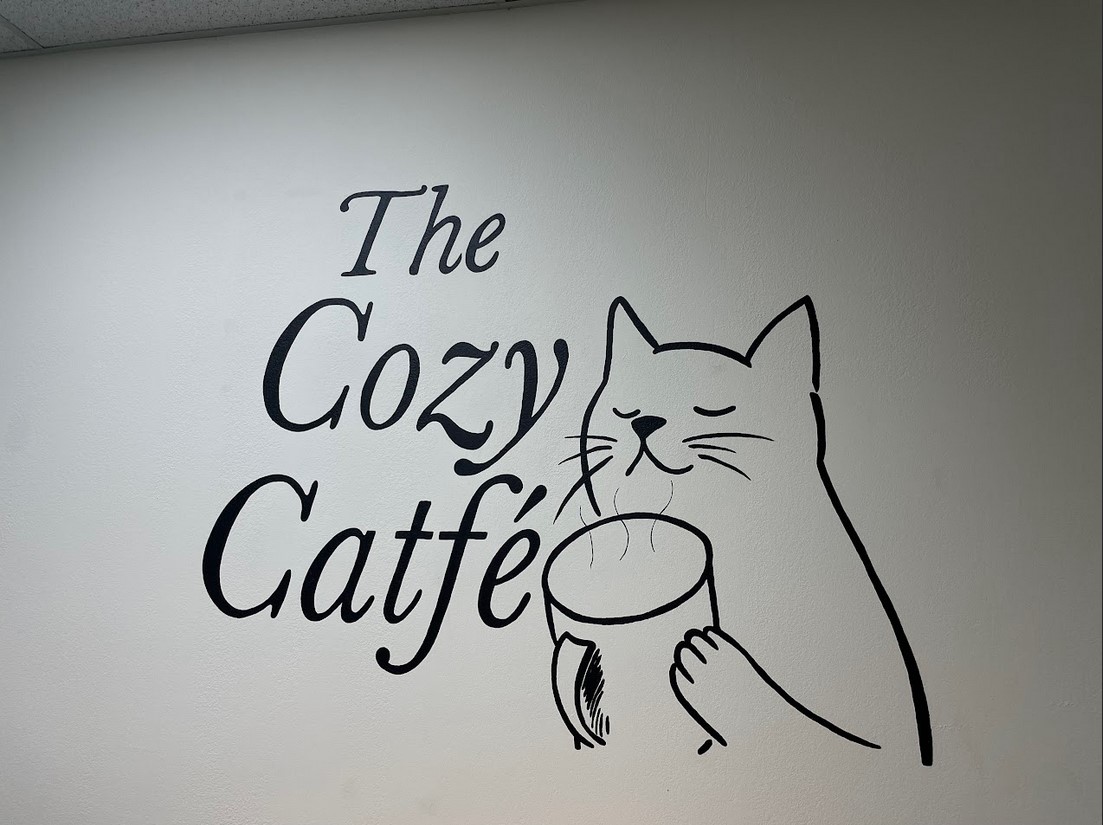 The Cozy Catfé has events scheduled throughout the month with an eye toward drawing more visitors and potential cat adoptions.