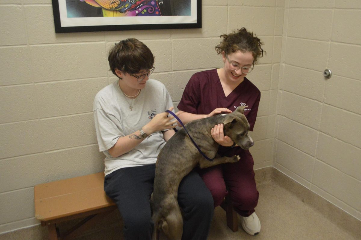 The shelter’s private rooms allow patrons to meet adoptable animals.