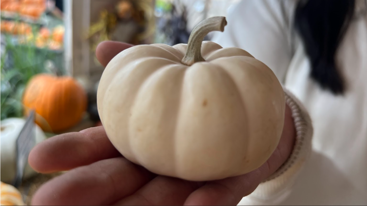 Pumpkins are among the fall items available at Green’s Produce. 