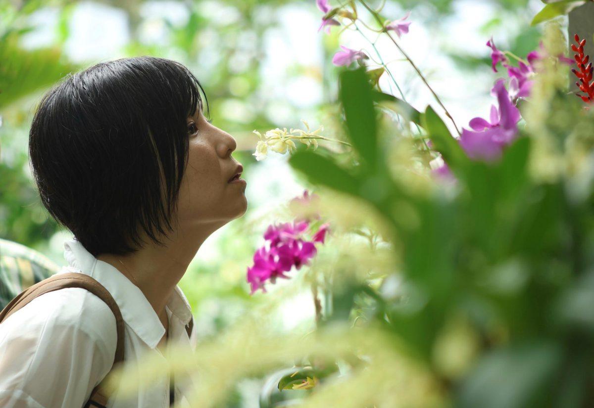 A woman inspects a flower in the Shinjuku Gyoen National Garden on July 18, 2025. The garden provides guests with tour guides at various times throughout the day.